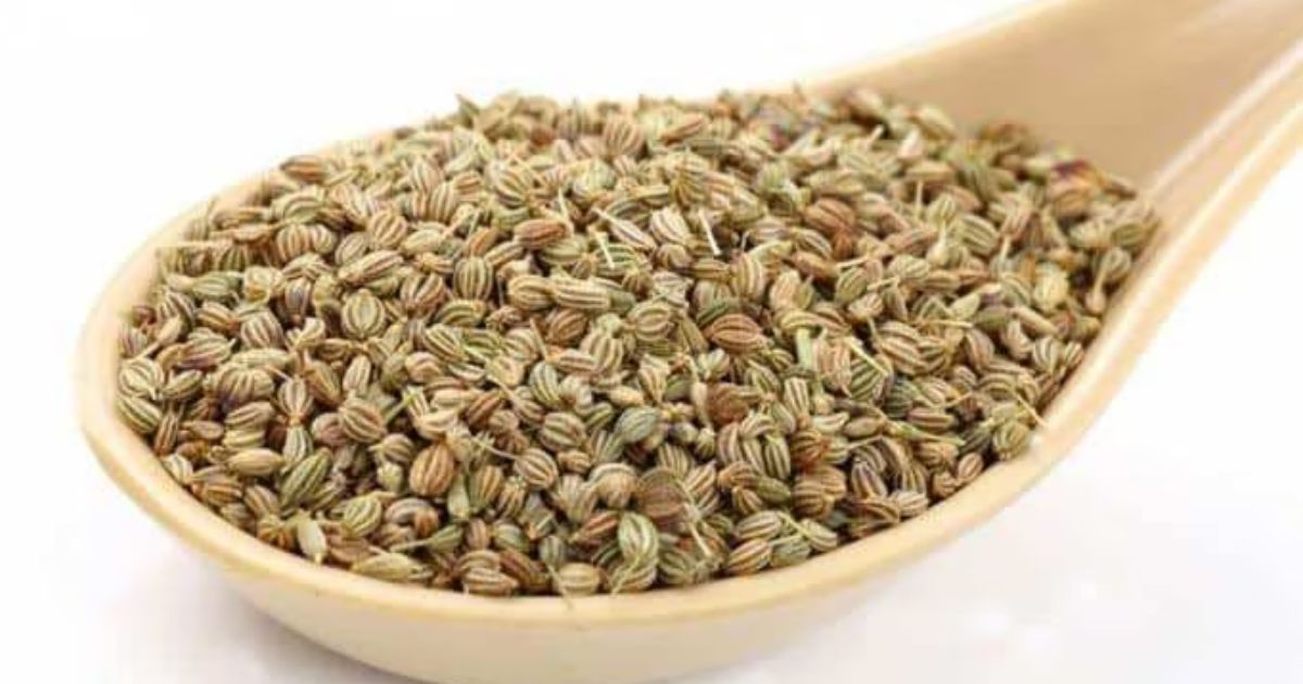 Ajwain Benefits: अजवाइन ये 10 फायदे सुनकर चौंक जाएंगे आप, एक चम्मच कर देगा कमाल