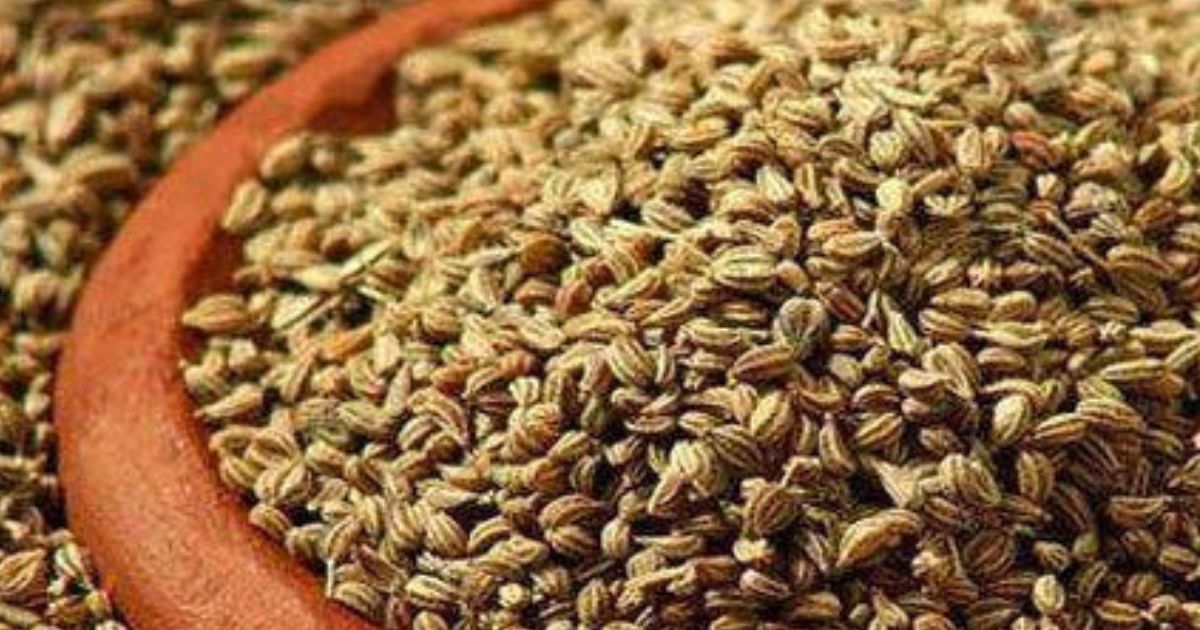 ajwain2