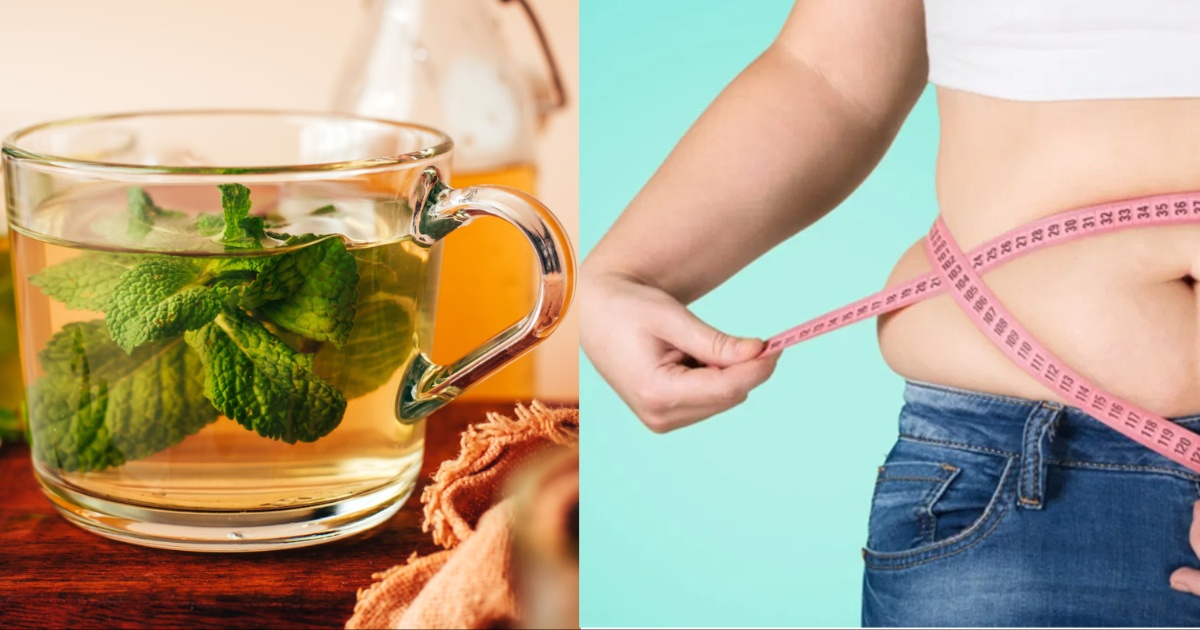 Tea For Weight Loss: चाय पीते- पीते कम करें वजन, हवा की तरह फुस्स हो जाएगा मोटापा, लोग पूछेंगे फिटनेस का राज