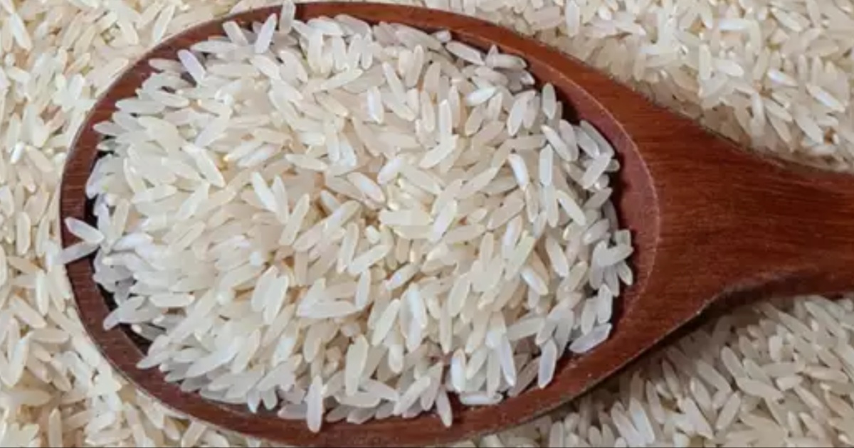 Rice For Diabetes Patients: अब डायबिटीज के मरीज भी जी खोलकर खा सकते हैं चावल, असम का 'जोहा' कंट्रोल करता है शुगर लेवल