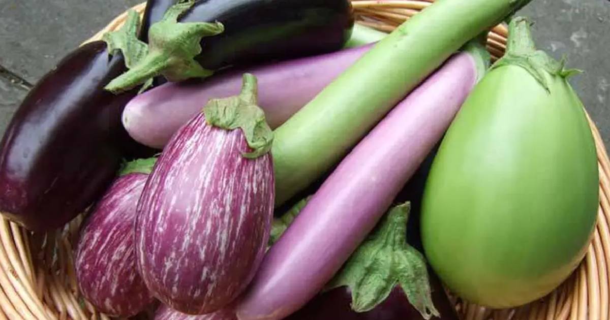 बरसात के मौसम में इन सब्जियों से बनाएं दूरी, वरना बिगड़ सकती है सेहत