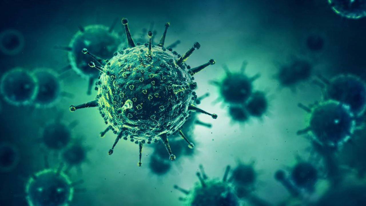 diseases