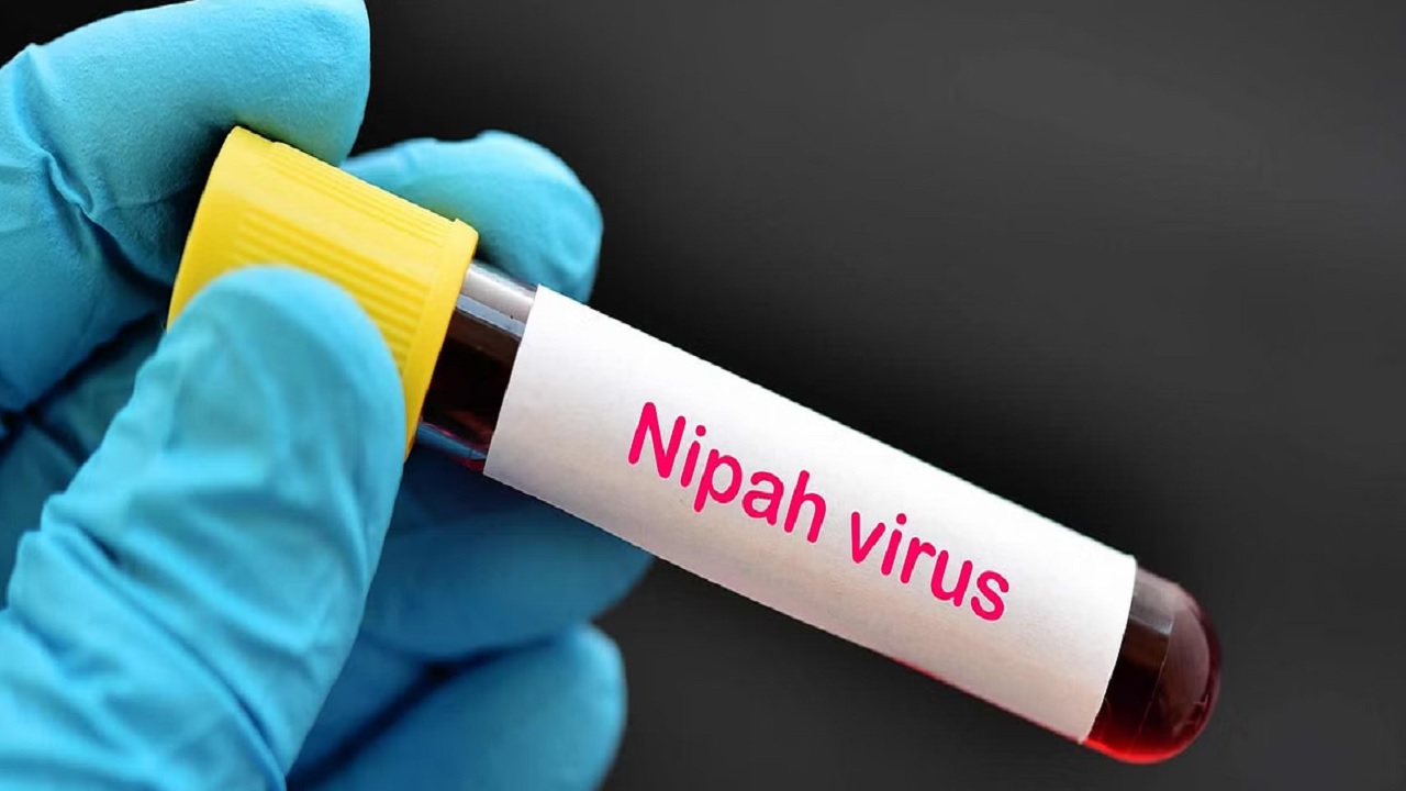 Kerala में जानलेवा बना निपाह वायरस, कोझिकोड में नियंत्रण कक्ष स्थापित...पड़ोसी जिलों में जारी हुआ अलर्ट