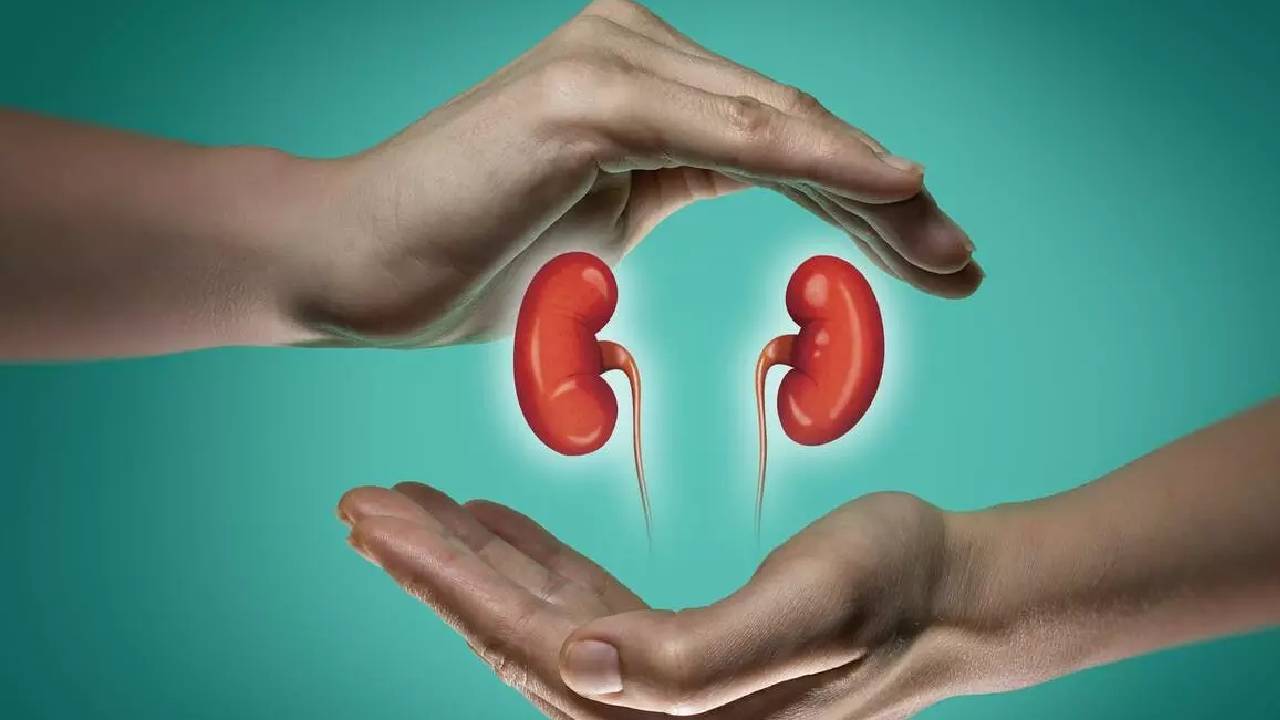 वैज्ञानिकों की मिली बड़ी कामयाबी, सूअर में ह्यूमन किडनी विकसित करने में पाई सफलता