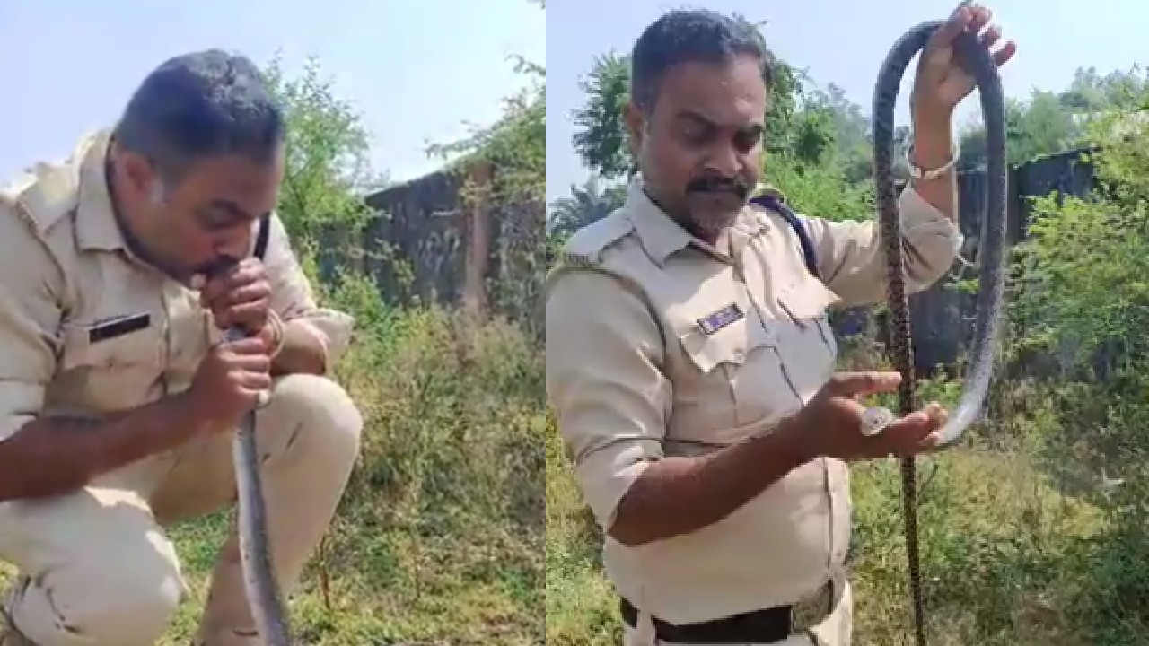 इस पुलिस वाले ने जहरीले सांप के मुंह में ऑक्सीजन देकर लौटाई जान, वायरल Video देख दंग रह जाएंगे आप