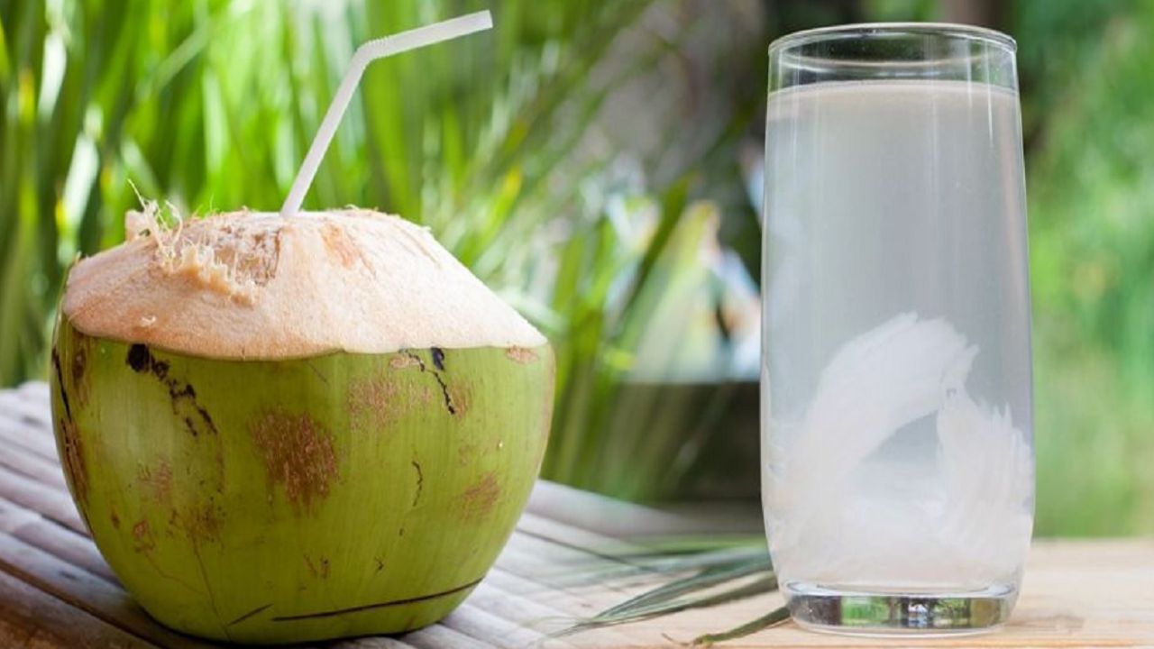 नारियल पानी में पोटेशियम, मैग्‍नीशियम और कैल्शियम भरपूर मात्रा में होता है. ऐसे में सरगी के समय इसे पीने से पूरे दिन शरीर में ताकत रहती है और डिहाइड्रेशन भी नहीं महसूस होता. 