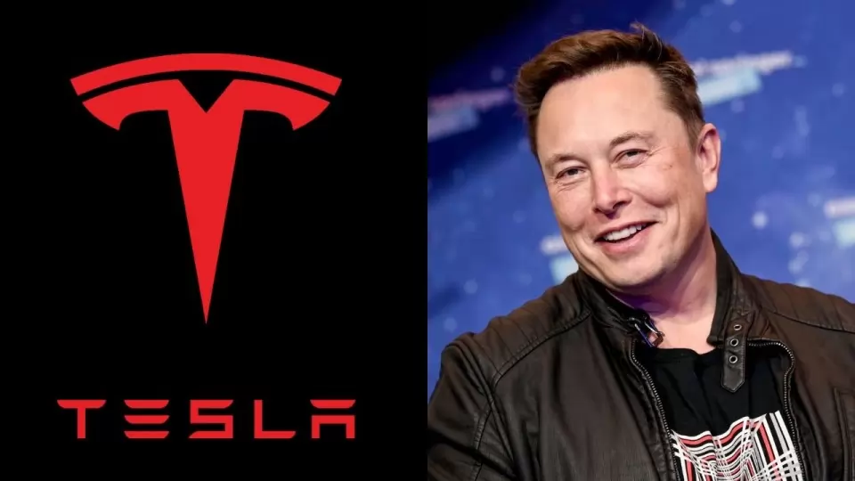 Elon Musk Tesla India Factory