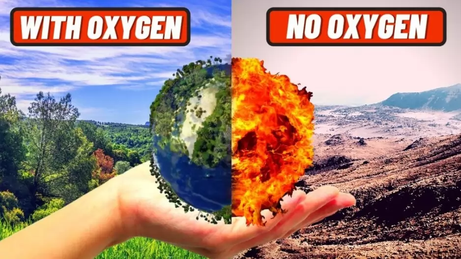 Life Without Oxygen: