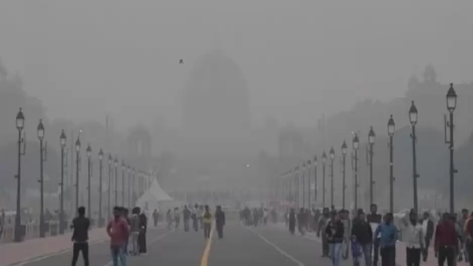 Delhi Winter