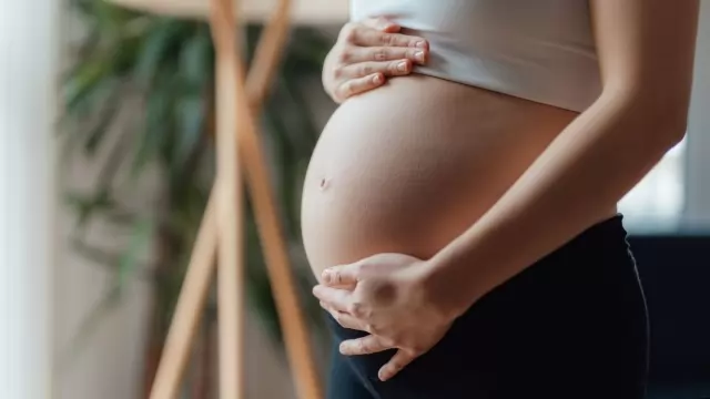 Pregnant Woman Died In Kerala 