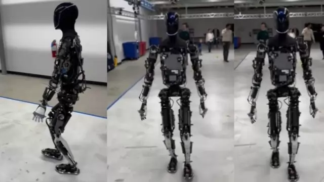 Tesla optimus, tesla bot, optimus humanoid robot, robots