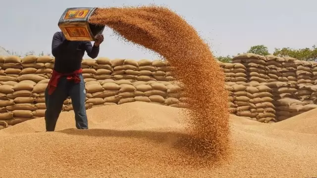Wheat Procurement In UP