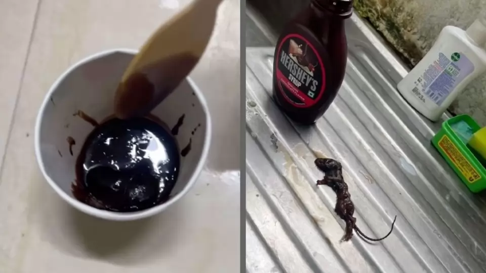 Dead rat in chocolate syrup
