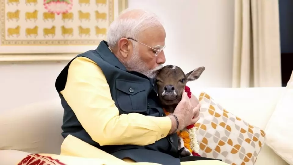 PM Modi 