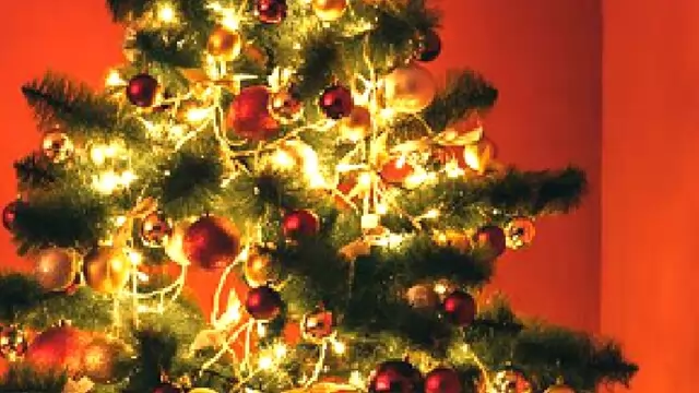 Christmas Day 2023: जानें दूनिया के वो कौन से हैं देश, जहां नहीं मनाये जाते क्रिसमस डे?
