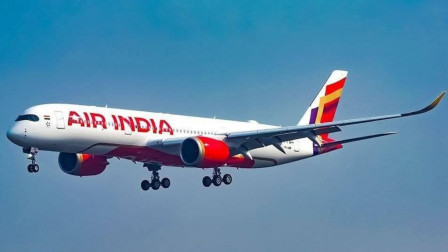 Air India pilot suspended