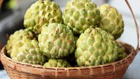 Benefits of eating Custard Apple