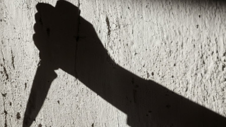 Salumbhar murder case India Daily 