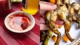10 whackiest foods eaten around the world including frog's leg, cobra's heart