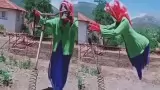 Farmer Ninja Technique