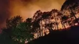 15 लाख से ज्यादा की संपत्ति का नुकसान, 'वेंटिलेटर' पर पर्यटन कारोबार; कब बुझेगी नैनीताल के जंगल की आग?