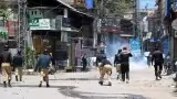 Pakistan Occupied Kashmir Major Unrest
