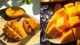 Tips To Identify Real Mango