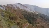 Uttarakhand Fire