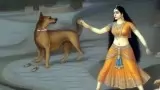 What curse did Draupadi give to the dogs