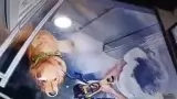 लिफ्ट के अंदर मासूम कुत्ते को बेरहमी से पीटता दिखा डॉग वॉकर, कैमरे में कैद हुई घटना