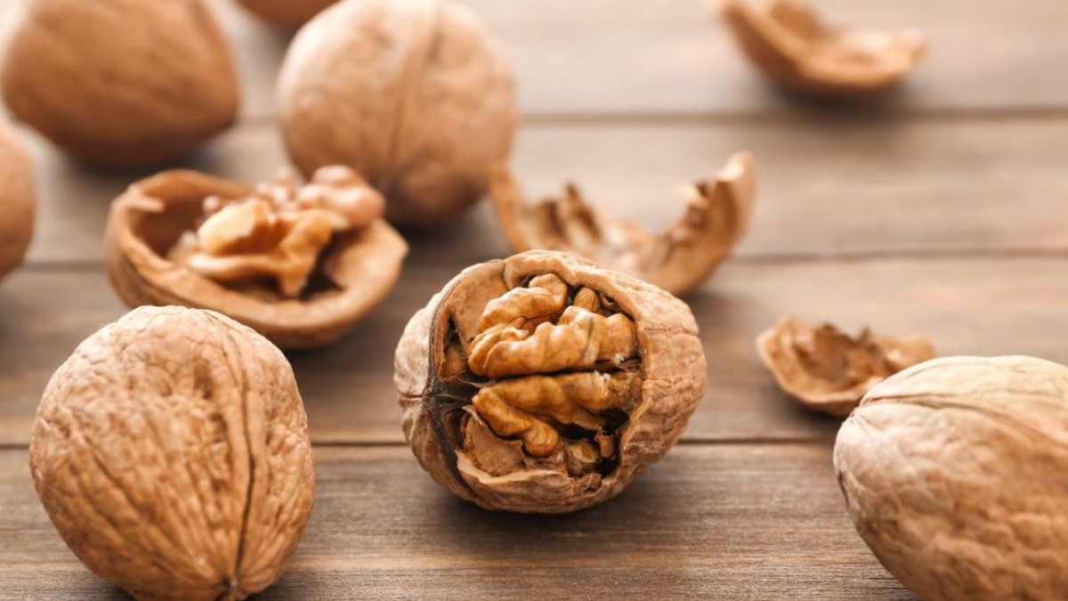 सर्दियों में अखरोट का सेवन होता है फायदेमंद, दिमाग को करता है तेज और