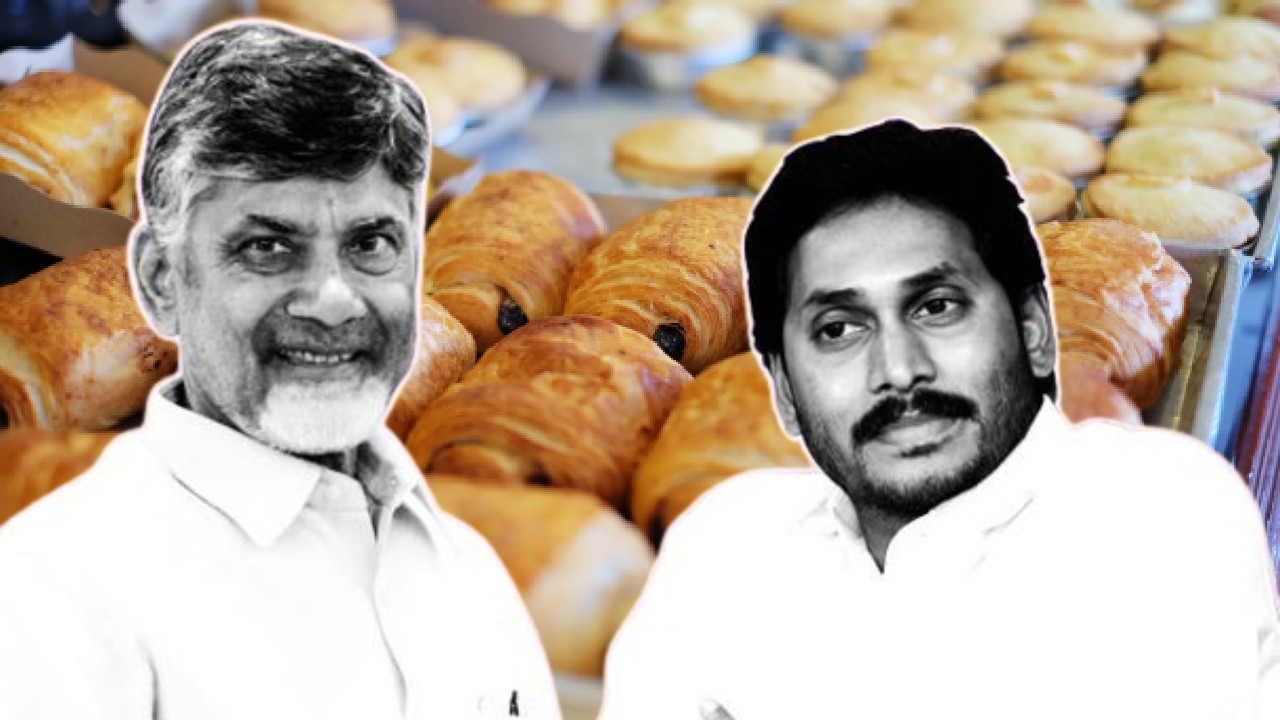 Egg TDP YSR 