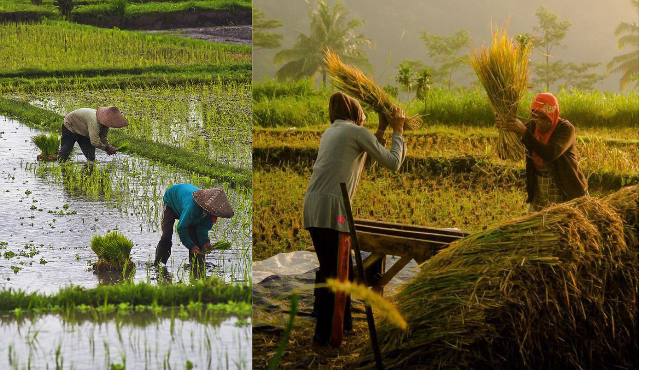 Future of Jobs Report 2025