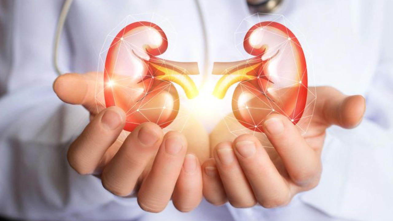 High Blood Pressure causes Kidney Failure