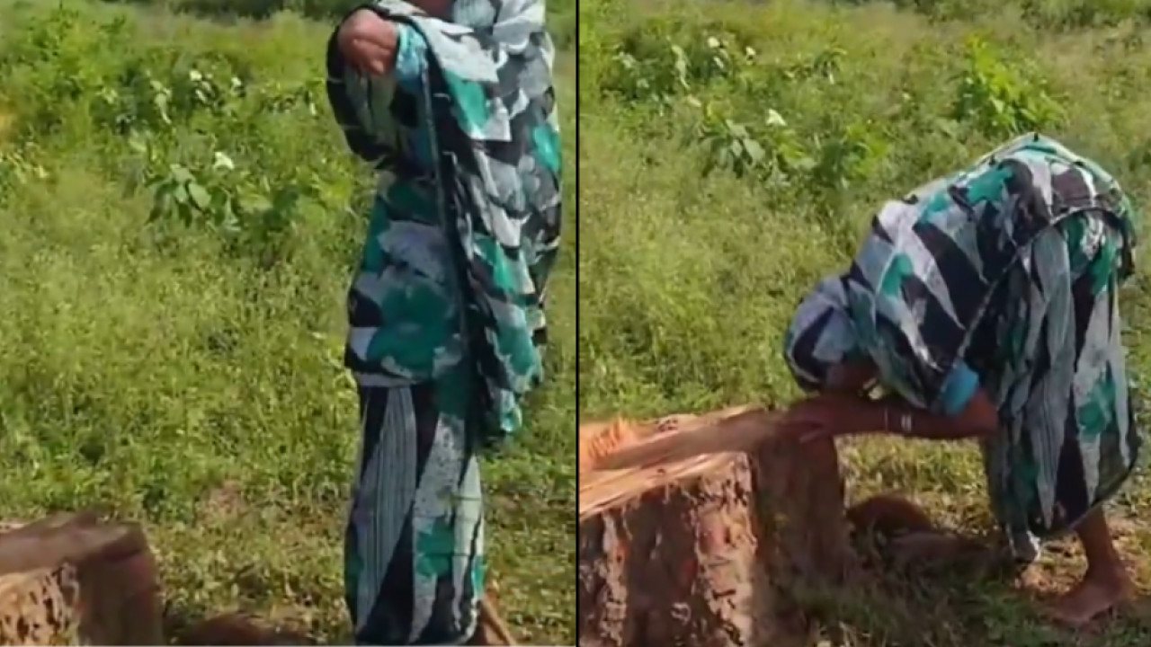 Mother Cry Emotional Video Viral