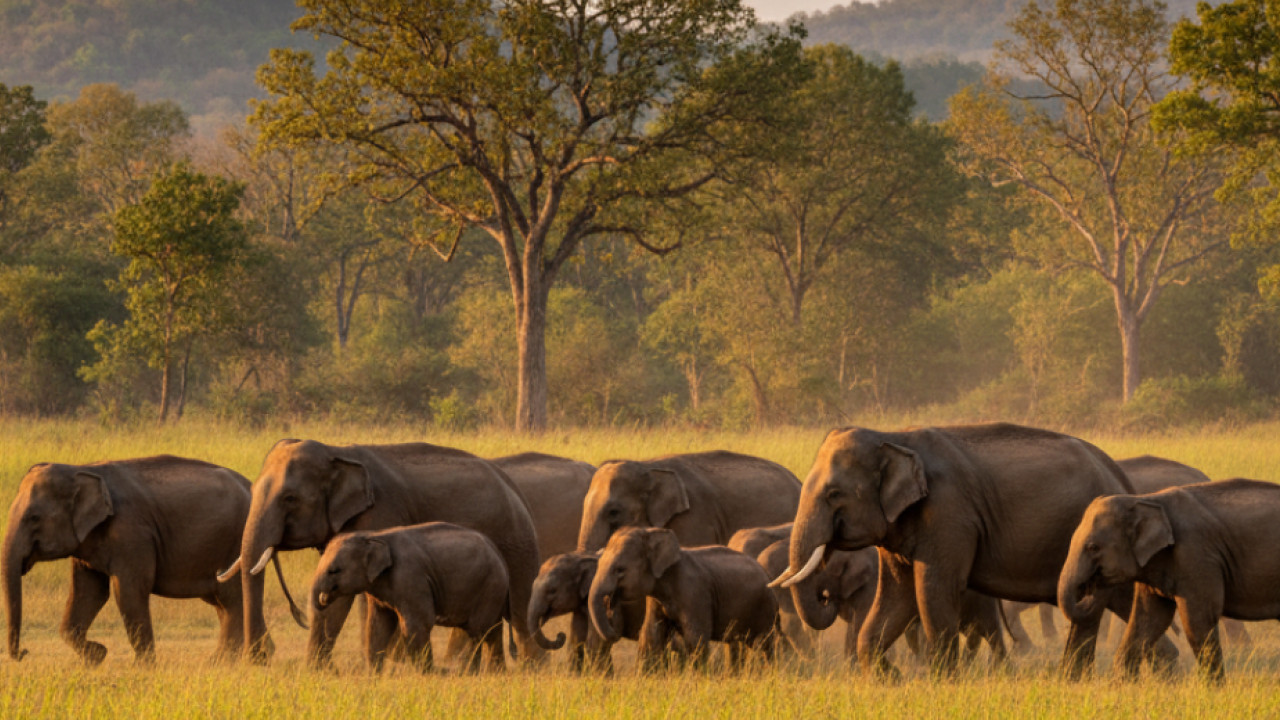 Ranka police station