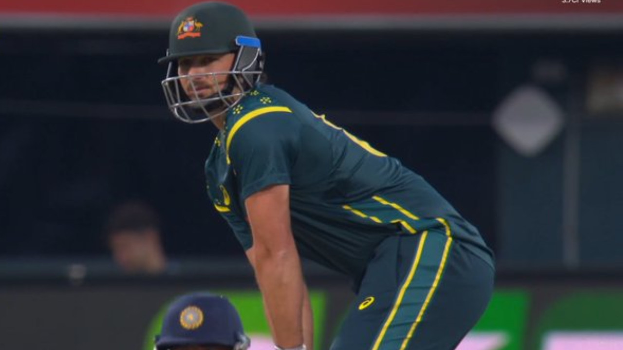 Tim David India Daily