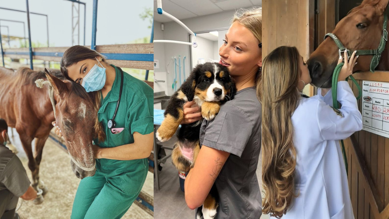 Veterinary officer Recruitment