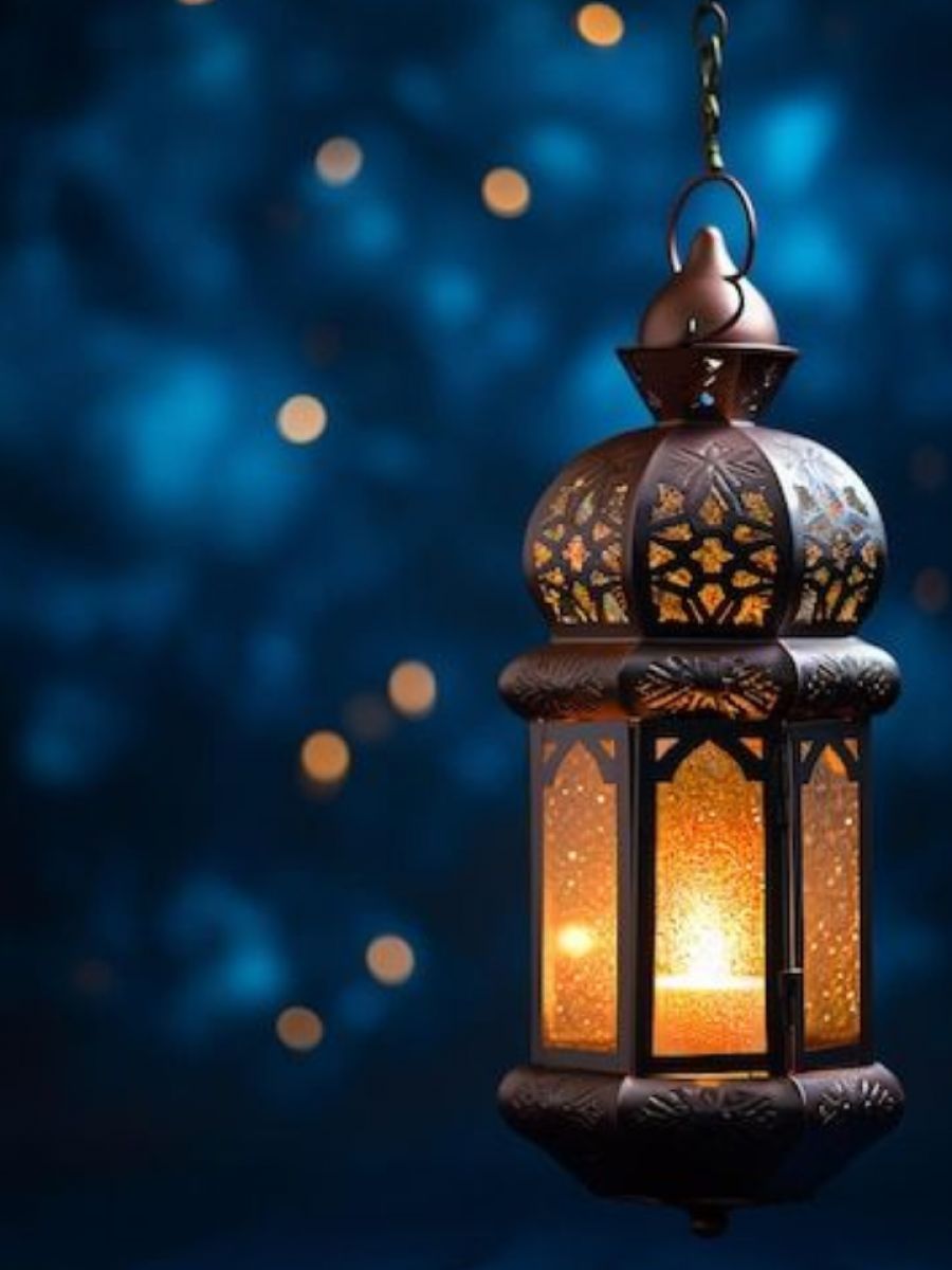 India Daily Webstory