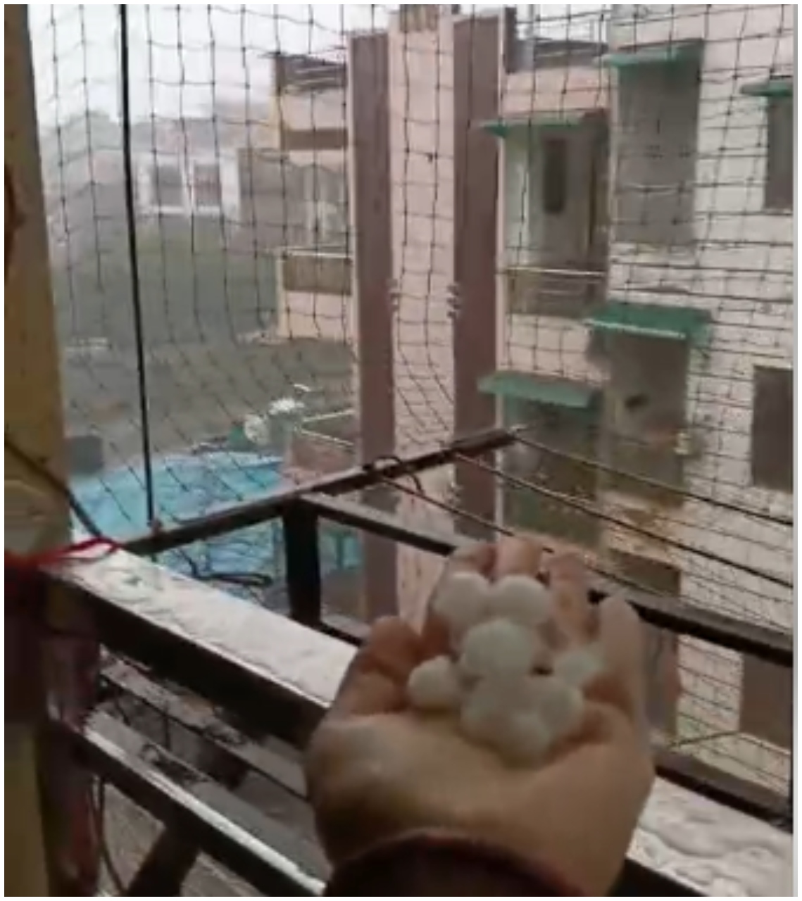 Delhi NCR Rain -India Daily