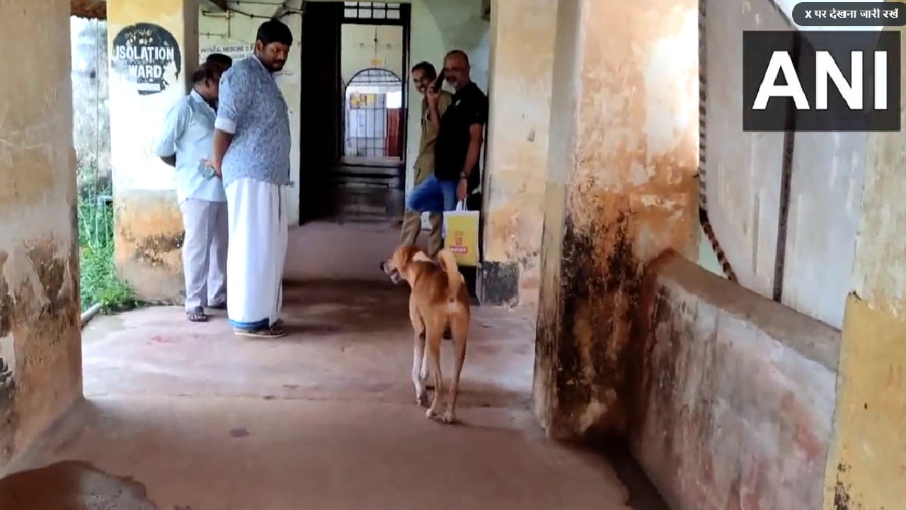 4 महीने से मुर्दाघर के बाहर खड़ा है कुत्ता! मालिक के लौटने का कर रहा इंतजार, देखें वायरल वीडियो