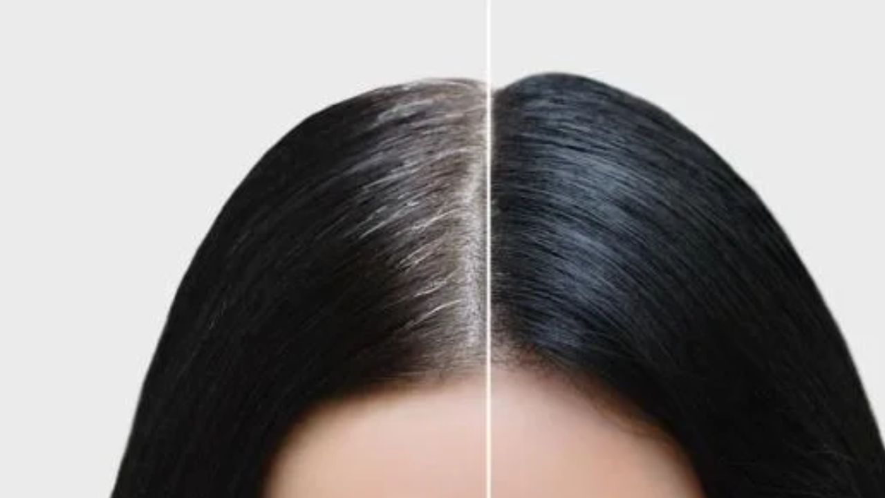 Hair Care Tips: सफेद बाल होंगे काले, बस अपनाएं ये उपाय