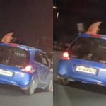 Viral Video: गाजियाबाद में कार सवार युवकों को स्टंट करना पड़ा महंगा, पुलिस ने काटा 10 हजार का चालान