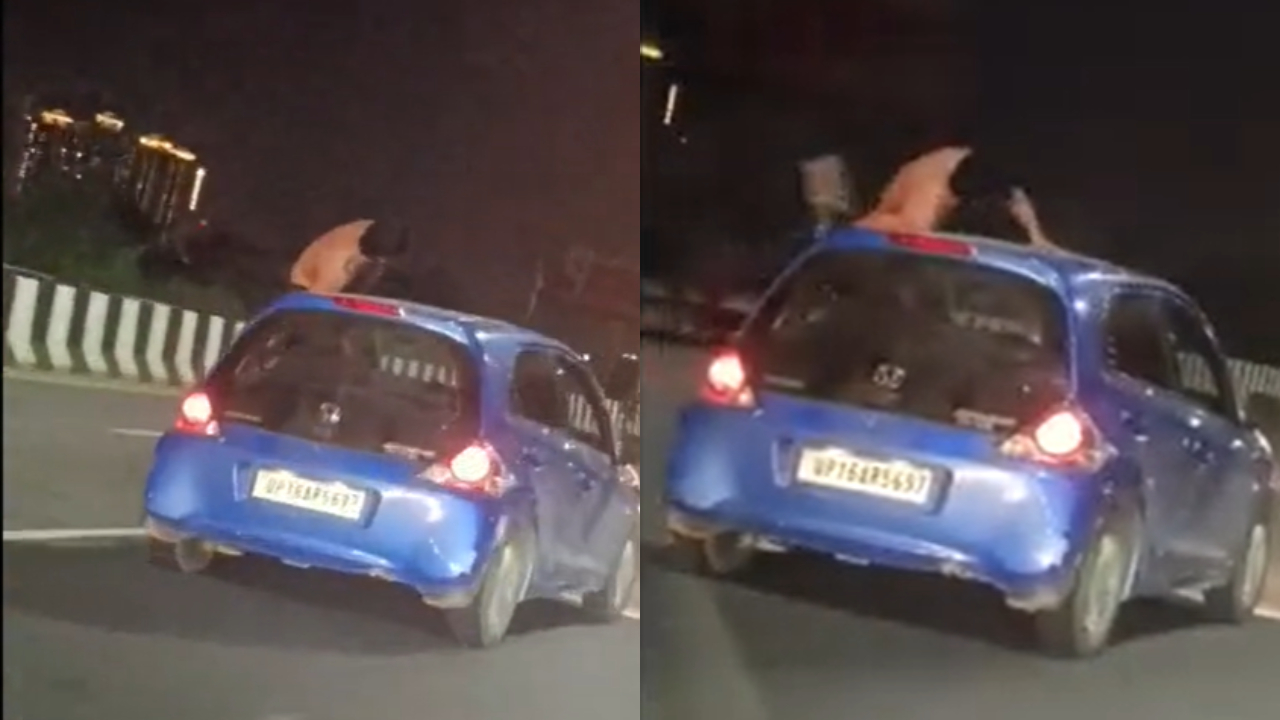 Viral Video: गाजियाबाद में कार सवार युवकों को स्टंट करना पड़ा महंगा, पुलिस ने काटा 10 हजार का चालान